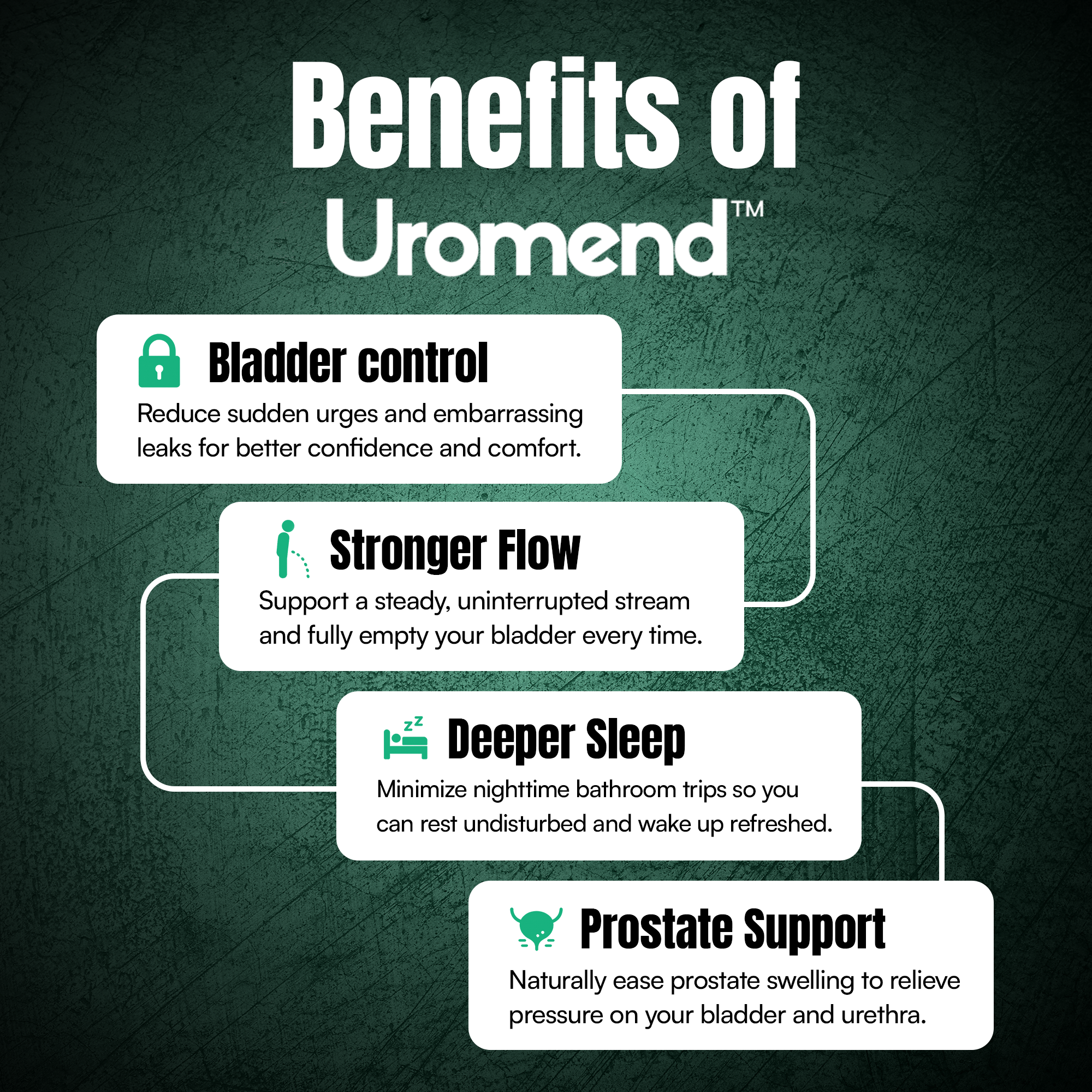 Natural Bladder Support